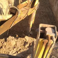 اجاره بیل بگهو درحومه جنوب شرق تهران