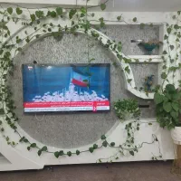 گل زیبا