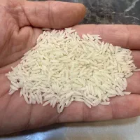 برنج دمسیاه استخوانی فوق ممتاز معروف به سلطنتی