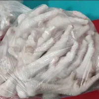 پای مرغ