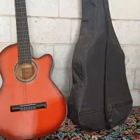 گیتار یا ماها C70