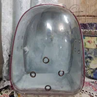 کیف حمل حیوان