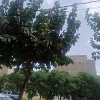 فروش زمین