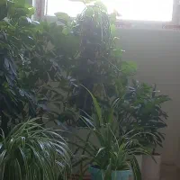 جوشکاری سیار در پردیس