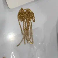 یک تکه طلا پیدا شده