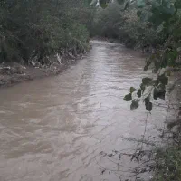 اجاره زمین سه هزار متری روستایی مناسب کافه گلخانه