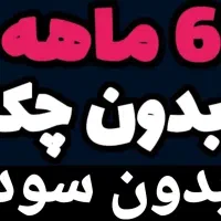 بیمه خودرو ۶ ماهه بدون چک و سود