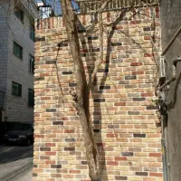 آجر نما پرفروش گیلان/مرکز پخش|مصالح و تجهیزات ساختمان|فومن, |دیوار