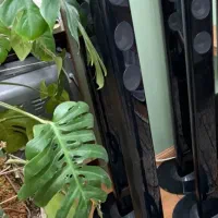 ۴ عدد باند رده بالای سامسونگ و یک عدد سنتر