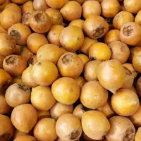 ازگیل جنگلی خوشمزه + هایپر میوه گلچین|خوردنی و آشامیدنی|شاهدشهر, |دیوار