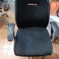 صندلی ساده و گردان|صندلی و نیمکت|کرج, فاز ۳ گوهردشت|دیوار