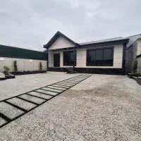 ویلا نما مدرن/سند تک برگ/جنگلی/