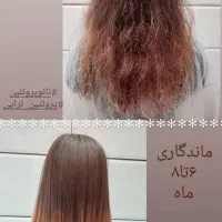 پروتئین تراپی مواحیای موهای خشک واسیب دیده|خدمات آرایشگری و زیبایی|مشهد, زیبا شهر|دیوار