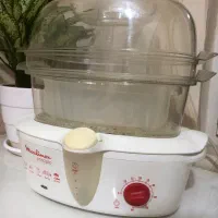 بخارپز مولینکس