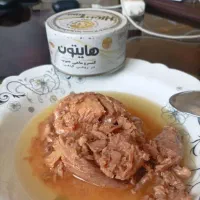 فروش ویژه تن ماهی مارلین زرده کف قیمت.