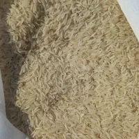 برنج نیم دانه هاشمی ۱۵۰ تومن|خوردنی و آشامیدنی|هیر, |دیوار