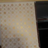 رنگ آمیزی|خدمات پیشه و مهارت|کارون, |دیوار