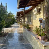 شمال در هوای بهاری