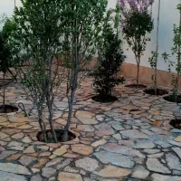 شرکت خدماتی و نظافتی صدف