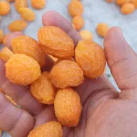 فروش الو طبیعی و تیزابی|خوردنی و آشامیدنی|یزد, |دیوار
