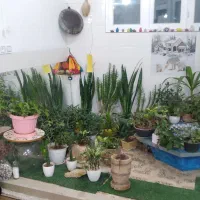 خانه طبقه 2 تموم کار وطبقه 3 اسکلت  جرسقان برگزار|فروش خانه و ویلا|شیراز, سلطان آباد|دیوار