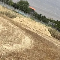 کاه کاهکوب گندم تمیز|عمده‌فروشی|چناران, |دیوار