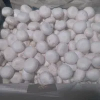 قارچ تازه و ارگانیک