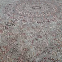 دنبال همخونه میگردم خودم خونه ندارم.