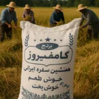 برنج کامفیروزی اصل حیدری درجه یک به شرط...|عمدهفروشی|کامفیروز, |دیوار