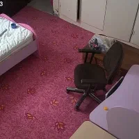 موکت