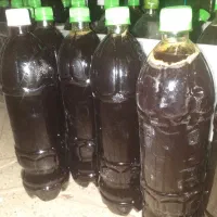 شیره انگور روب انار روب گوجه محلی وانواع ترشیجات|خوردنی و آشامیدنی|نیشابور, هفده شهریور|دیوار