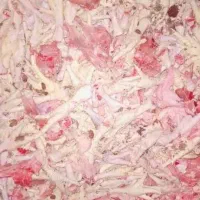 اشغال گوشت غذای سگ