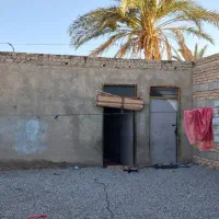 ملک فروشی موقعیت شکاری (ناصراباد)|فروش زمین و ملک کلنگی|سیب و سوران, |دیوار