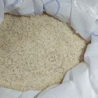 برنجهاشمی