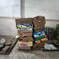 کارتن موز
