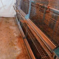 فروش قفس ایستاده مرغتخمذار