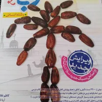 کتاب تست نو برای انسانی|کتاب و مجله آموزشی|ساوه, |دیوار
