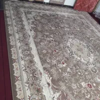 فرش ۷۰۰ شانه|فرش|نکا, |دیوار