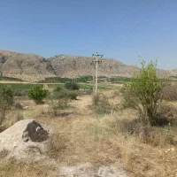 3000متر باغ لیمو|فروش خانه و ویلا|بوستان, |دیوار