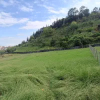 زمین مسکونی ۱/۰۰۰متری بر۳۰متر/سنددار در تالش