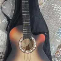 گیتار دیاموند در حد