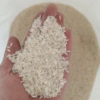برنج