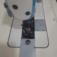 دوماکو استپ دار