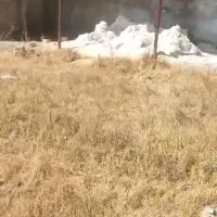 اجاره ۶۰۰متر مصالح ساختمانی و غیره (ابسرد )|اجارهٔ دفتر صنعتی، کشاورزی، تجاری|دماوند, دماوند|دیوار