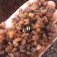 کشمش قیمت مناسب