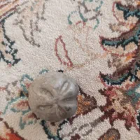 انواع مهره اصلی قدیمی|کلکسیون اشیاء عتیقه|ایلام, |دیوار