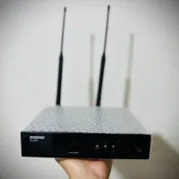 میکروفون شور|آلات موسیقی|کاشمر, |دیوار