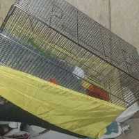 قفس پرنده