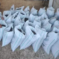 افتابی با شهد بالا ، دم گیری شده بدون چوب|خوردنی و آشامیدنی|بوانات, |دیوار