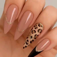 آف یلدا،کاشت وترمیم ناخن،رضوان،طلاییه،میانرود